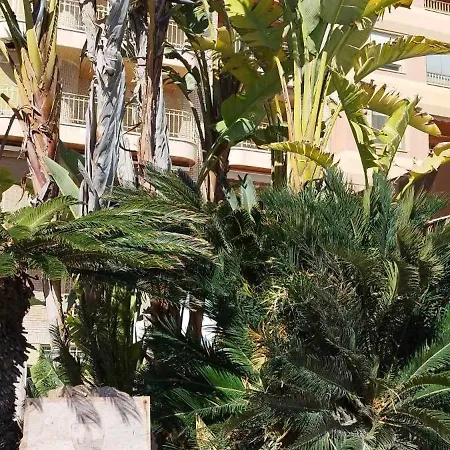 Seaview Torrevieja Citycenter Curabeach 50M Apartment * Torrevieja