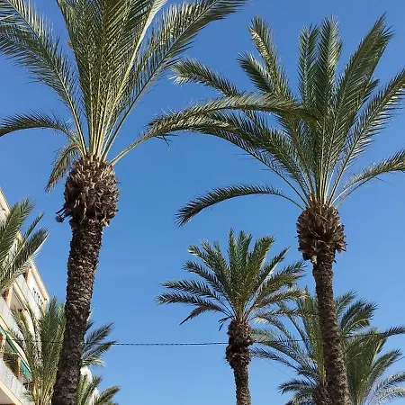 Seaview Torrevieja Citycenter Curabeach 50M Apartment * Torrevieja