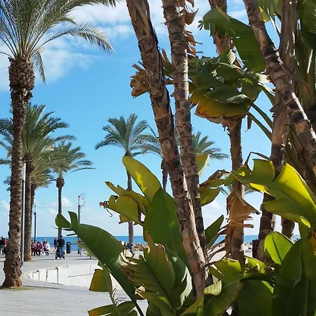 Seaview Torrevieja Citycenter Curabeach 50M Apartment Torrevieja